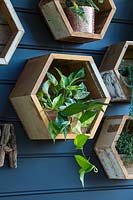 Gros plan de la boîte de jardinière en bois hexagonal décoratif monté sur le mur.