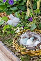 Boîte en bois avec nid de Pâques en brindilles de saule et oeufs colorés