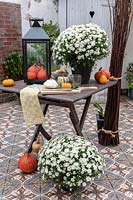 Décoration de table d'automne avec cucurbita et chrysanthème en fleurs.