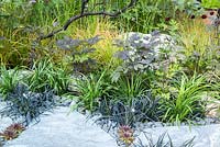 Chemin de pierre bordé d'Ophiopogon planiscapus 'Nigrescens ' et Actaea simplex Atropurpurea.' Elements Mystique ', RHS Hampton Flower Show, 2018