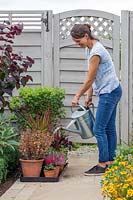 Femme arrosant les plantes placées dans un bac en plastique pour les soins de vacances.