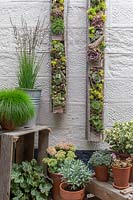 Jardinières à palettes avec plantes succulentes sur le mur
