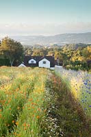 Champ d'herbes mélangées avec la campagne au-delà. Herbfarmacy, Eardisley, Herefordshire, Royaume-Uni