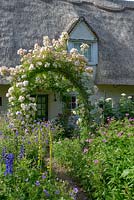 Jardin de chalet avec arche de rose recouvert de Rosa 'Phyllis Bide' - Rose 'Phyllis Bide'