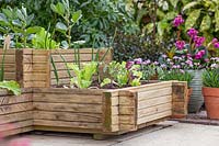 Parterre de coin en bois surélevé fini planté de légumes tels que fèves, tomates et salades
