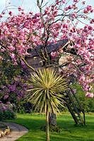 Cabane dans un arbre Prunus 'Pink Perfection' - Cerisier japonais en fleur.
