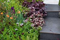 Étapes de la doublure du parterre de fleurs avec plantation mixte - L'habitude de vivre - Un jardin à l'appui du diabète UK, RHS Malvern Spring Festival 2019