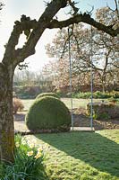 Balançoire suspendue à un arbre avec pelouse et grand Buxus - Boîte - sphères au-delà