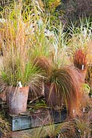 Arrangement décoratif d'herbes en pots avec Stipa 'Goldilocks' en automne