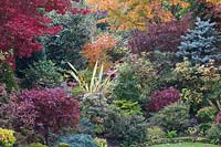 Couleurs automnales d'acres mélangés, de conifères, de photinias, de phormium et d'azalées au jardin Four Seasons, Walsall, West Midlands.