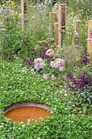 Hôtels d'insectes entourés d'un plat d'eau, pelouse de trèfle en fleurs Jardin de la BBC Spring Watch - RHS Hampton Court Festival Conception: Jo Thompson en consultation avec Kate Bradbury