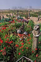 Derek Jarman's Garden Dungeness, Kent.