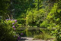 Jardin de style japonais avec grand étang. La plantation autour de l'eau comprend: Hydrangea macrophylla, Acer palmatum et Rhododendron