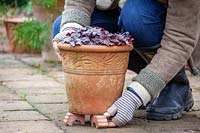 Soulever des pots à l'aide de pieds en terre cuite pour éviter qu'ils ne soient cassés par le gel