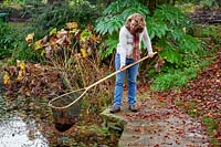 Enlever les feuilles tombées d'un étang à l'aide d'un filet