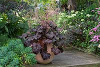 Sur une terrasse en bois à côté de l'euphorbe, un pot en terre cuite est planté d'un Heuchera à feuilles foncées 'Obsidian' qui a de riches feuilles violettes foncées et des tiges rouges de minuscules fleurs blanches.
