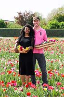 Les propriétaires de pépinières tenant des fleurs coupées à Tulipa - Tulip - field
