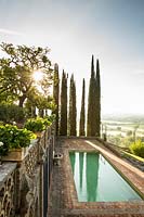 Une piscine sur une terrasse, vue sur Cupressus sempervirens - Cyprès - arbres et paysage plus large
