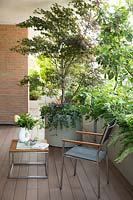 Un coin de terrasse en bois avec table et chaise par un pot rond avec Acer palmatum 'Crispifolium' et sous-plantation de feuillage