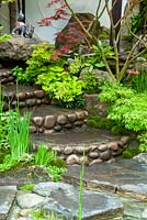 Étapes à travers le jardin japonais menant au ruisseau, avec acers et plantes marginales - RHS Chelsea Flower Show