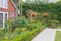 Maison près de parterre bordé de Buxus - Boîte - et planté de plantes vivaces à fleurs aux couleurs chaudes, vue sur mur incurvé avec Trachylospermum et paniers suspendus