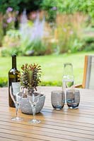 Verres, bouteilles et cactus en pot sur table avec vue sur jardin
