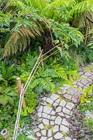 Vue du chemin de pavage fou avec clôture en bambou et plantation tropicale