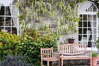 Glycine blanche escalade la façade de maison avec des roses, Euphorbia mellifera et romarin entourant un banc et un siège à l'avant.
