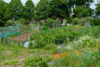Parterres d'attribution avec abondance de fleurs, cage à fruits et épouvantail - Framlingham, Suffolk