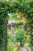 Vue à travers la porte dans le jardin de la ville formelle avec arche d'if et roses.