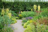 Affiche d'été colorée dans le jardin de fleurs, y compris le verbe, le géranium, la crocosmie, l'alchemilla mollis et les arbres pleached, Loseley Park, Surrey