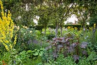 Affiche d'été dramatique de Ricinus communis, Verbascum, Inula, Rosa, Veronica et Campanula dans le jardin fleuri, Loseley Park, Surrey, UK.