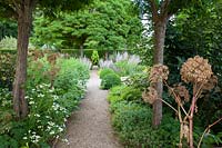 Chemin formel à travers le jardin d'herbes aromatiques avec dômes coupés, Salvia sclarea, Tanacetum parthenium et Angelica seedheads