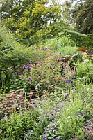 Parterre de fleurs avec des plantes comprenant: Heliotropium arborescens 'Gatton Park', Penstemon, Sedums, Tibouchina urvilleana et Ricinus