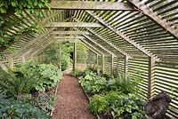 La maison de l'ombre plantée de plantes qui aiment l'ombre comme les fougères, les podophyllums et les bégonias à Bourton House, Gloucestershire, Royaume-Uni.