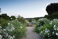 Le jardin blanc de Bourton House avec parterres de plantes herbacées vivaces et annuelles, dont Romneya coulteri, Argyranthemum 'Starlight', roses et Galega officinalis 'Alba '.