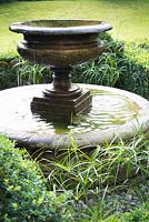 Fontaine en urne en fontaine circulaire entouré de Cyperus alternifolius à l'intérieur de Buxus - Fort - couverture