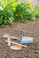 Outils et graines de laitue «Arctic King» prêtes à être semées dans le sol