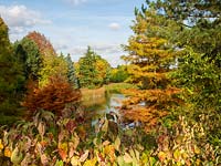 À la recherche de l'autre côté du lac à Bodenham Arboretum, avec beaucoup de couleurs d'automne et un ciel bleu.