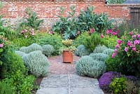 Jardin d'herbes formelles dans un jardin clos avec pavage circulaire et pot