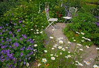 Chaises en métal blanc sur dallage entouré de parterres plantés de Leucanthemum vulgare - Oxeye Daisy - et Geranium pratense - Meadow Cranesbill
