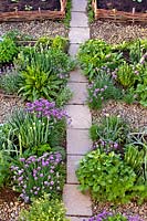 Parterres d'herbes avec ciboulette, oseille, oignon gallois, romarin, sauge violette, fenouil, origan, lavande et menthe citron au printemps.
