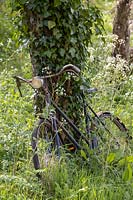 Vieux vélo cultivé en persil de vache à Orchard.