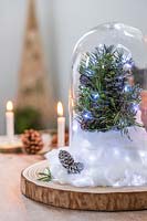 Boule à neige avec dôme en verre, sapin de Noël miniature, guirlandes lumineuses et peuplier comme neige