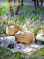 Pique-nique en bois Bluebell au printemps avec coussins, couvertures, caisses en bois, paniers et nourriture
