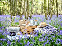 Pique-nique en bois Bluebell au printemps avec coussins, couvertures, caisses en bois, paniers et nourriture