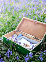 Valise en bois avec des articles de pique-nique placés parmi les jacinthes au printemps.