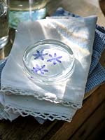 Presse-papier fait de fleurs Bluebell en résine