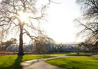 Une vue d'hiver de la Palm House à Kew Gardens, Londres, Royaume-Uni