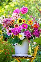 Seau de fleurs d'été posé sur une chaise - tournesols, zinnias, dahlias, phlox, hortensia, mauve rose et cleome.